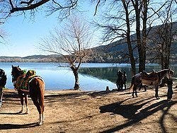 Uno de los lagos del Parque Natural de Ifrane