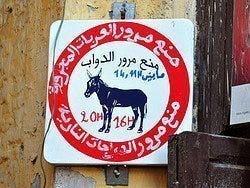 Transporte en la Medina de Fez, el burro