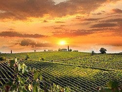 Atardecer en el Chianti