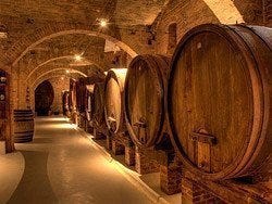 Visitando una bodega en el Chianti