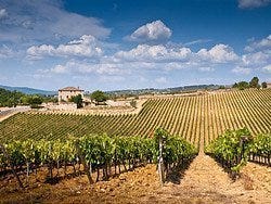 Chianti