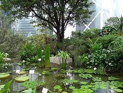 Parque de Hong Kong