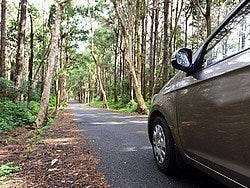 Recorriendo Mauricio en nuestro coche de alquiler