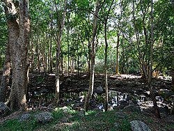 Parque Nacional Black River Gorges