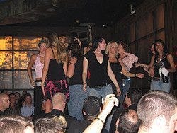 Bar Coyote