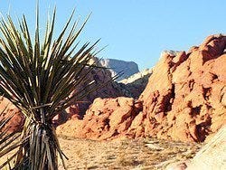 Red Rock Canyon