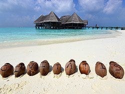 Civitatis en Maldivas, Gili Lankanfushi