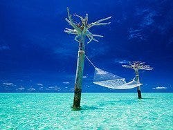 Relax