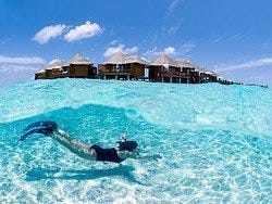 Snorkel en Maldivas
