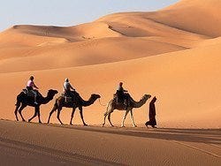 Desierto, paseando en camello