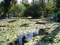 Jardines Majorelle