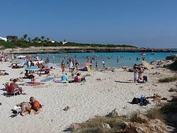 Cala en Bosch