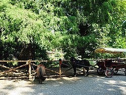 Jardines Públicos de Milán, Ponis