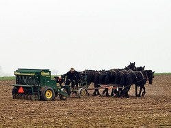 Comunidad Amish de Lancaster, arado tradicional