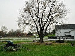 Amish de Lancaster, Amish Village