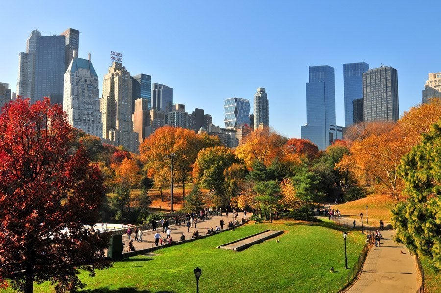 Central Park - The largest urban park in New York City