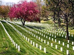 Washington, Arlington Cemetery