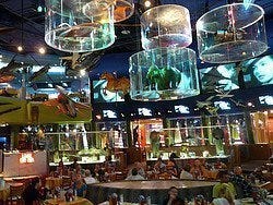Restaurante Planet Hollywood Nueva York