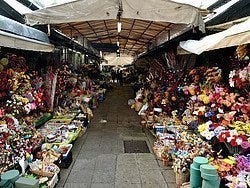 Mercado do Bolhao