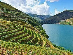 Valle del Duero