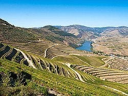 Valle del Duero