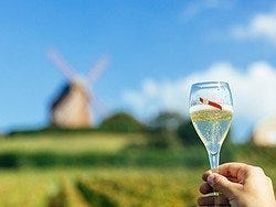 Bodega de Mumm