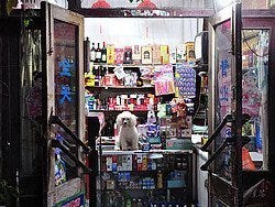 Curiosa tienda en un hutong