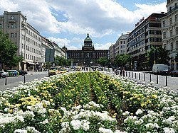 Plaza de Wenceslao, Nove Mesto
