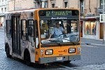 Autobuses en Roma