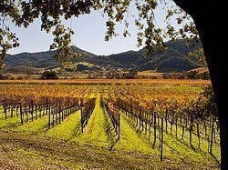 Valle del Napa