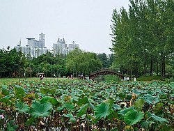 Century Park