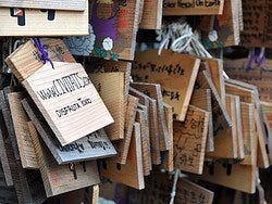 Santuario Toshogu, Disfruta Tokio