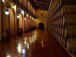 Bodega Yllera