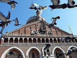 Basilica of St Anthony in Padua