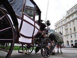 Coche de caballos Fiaker