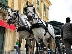 Coche de caballos Fiaker