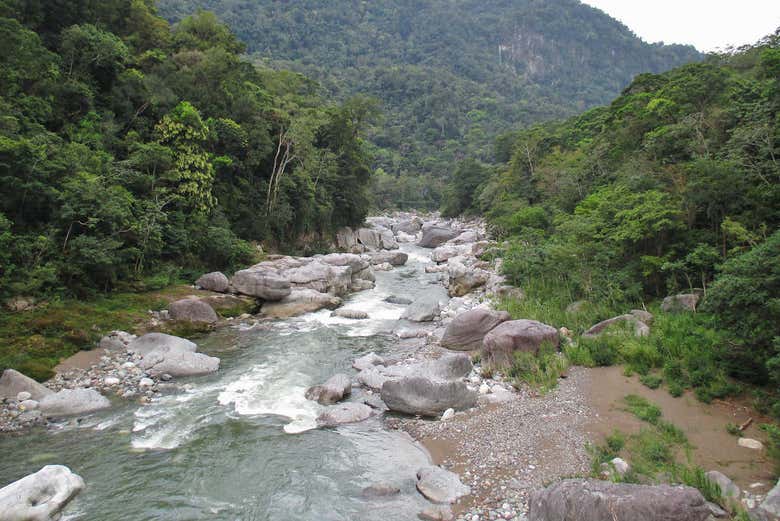 Rafting en el río Cangrejal desde La Ceiba