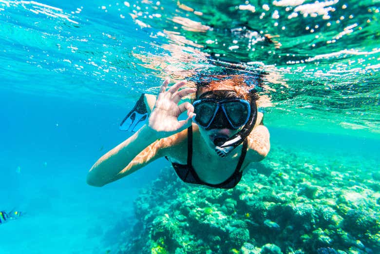 Excursión a Cayos Cochinos desde Roatán - Civitatis.com