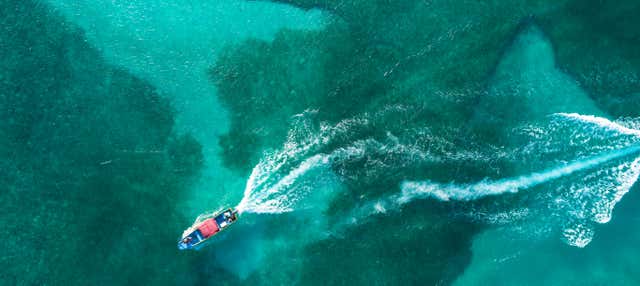 Glass Bottom Boat Tour
