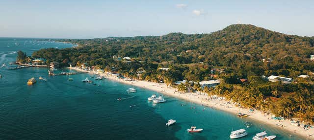 Balade en catamaran de luxe à Roatán