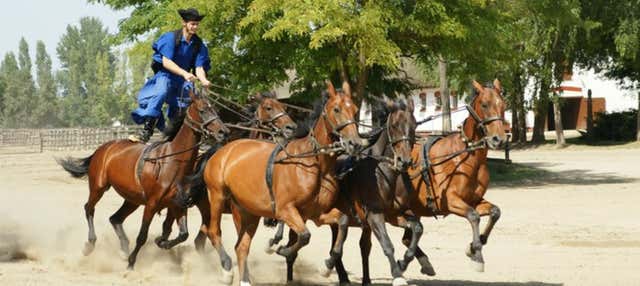 Excursión a la Puszta y espectáculo ecuestre desde Budapest