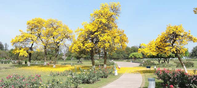 Chandigarh Free Walking Tour