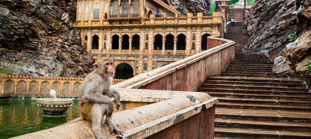 Escursione a Jaipur