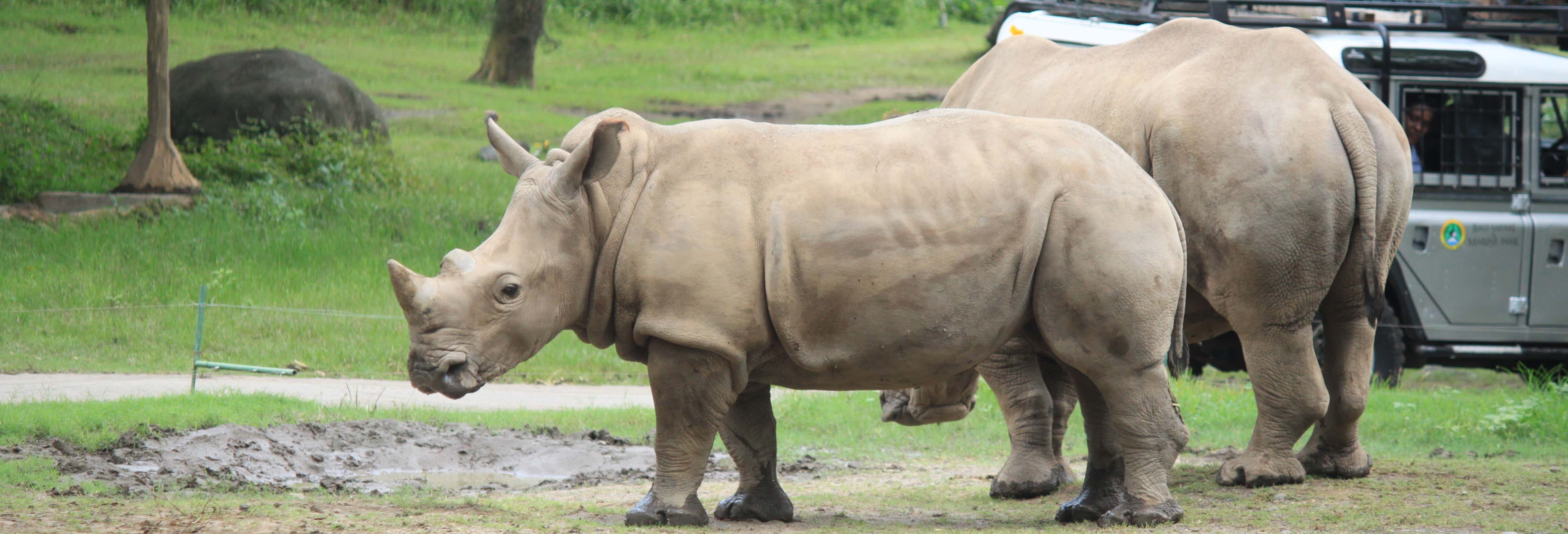 Biglietti per il Safari and Marine Park
