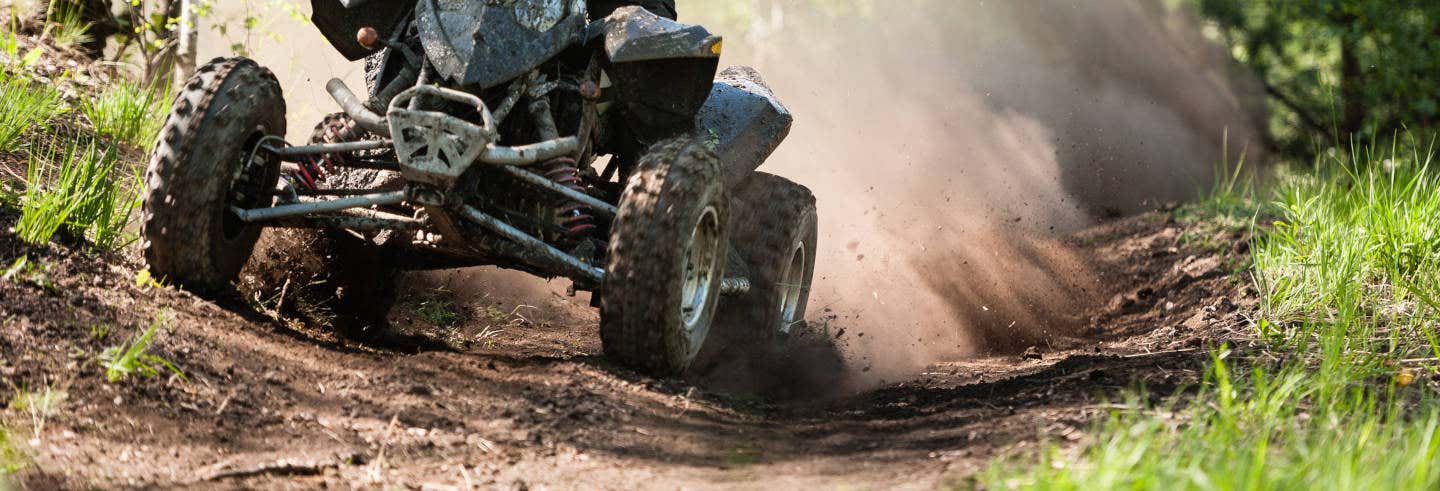 Tour in quad a Bali