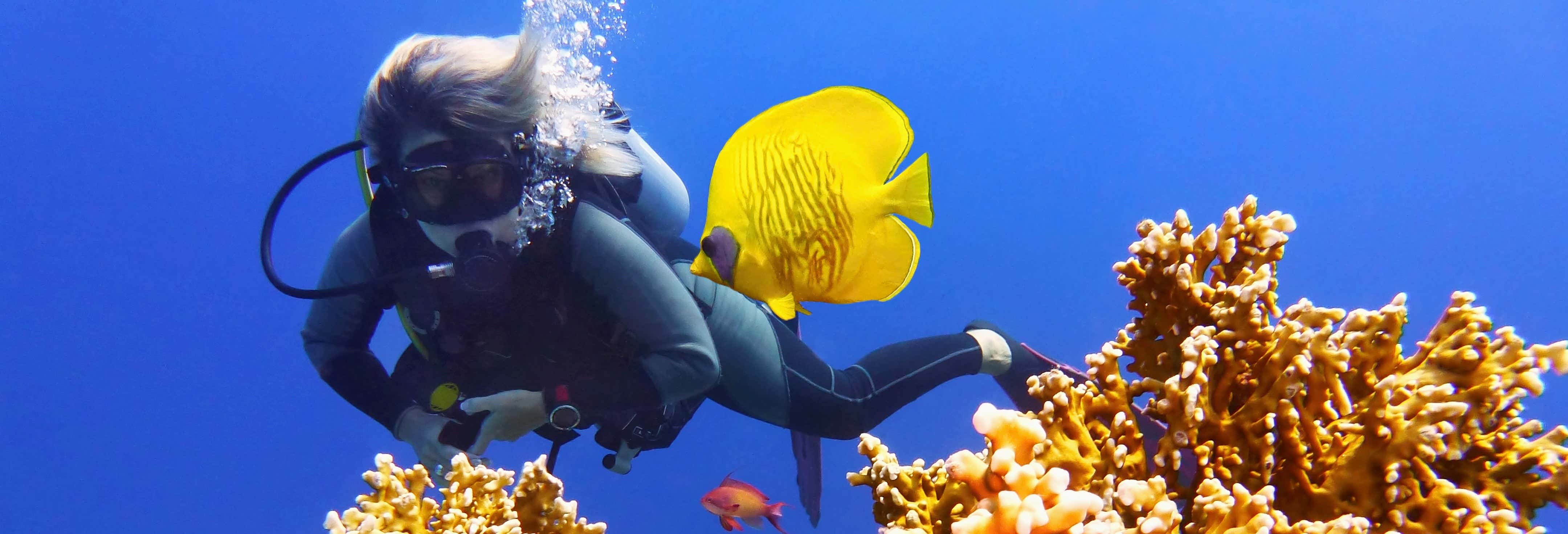 Bautismo de buceo en Gili Trawangan