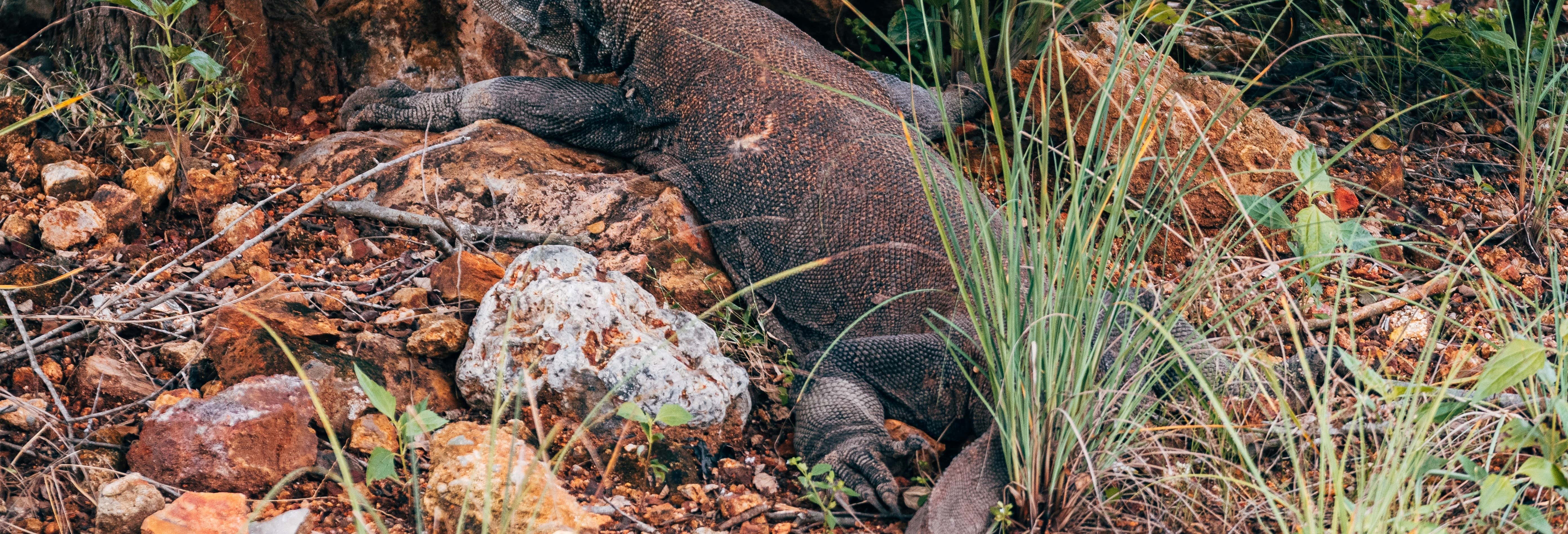 Tour de 2 días por las islas del dragón de Komodo