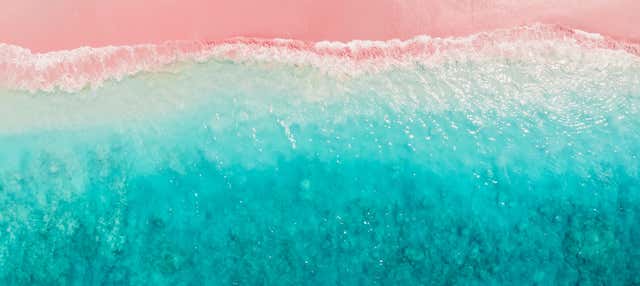 Excursión a Pink Beach
