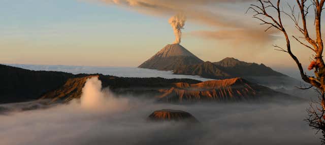 Excursion au volcan Bromo