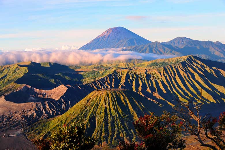 Excursi n al volc n Bromo  desde Surabaya Civitatis com